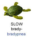 t.gif (2281 bytes)